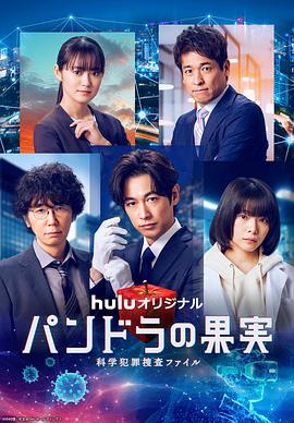 泗洪seo优化哪家好